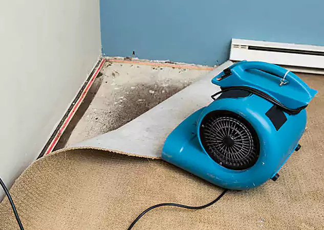 Your Water Damage Experts in Cumming, GA