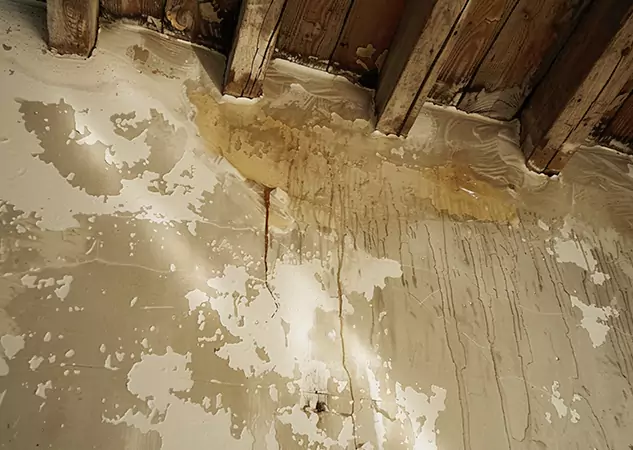 Your Trusted Restoration Company in Cumming, GA