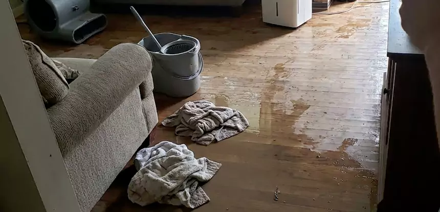 Professional Basement Water Remediation Services in Cumming, GA