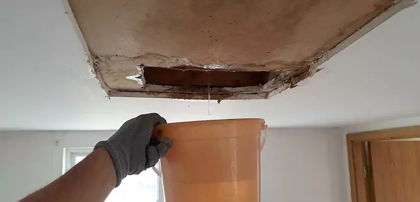 Ceiling Mold Repair Cumming