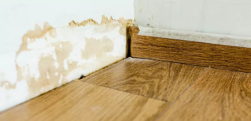 Professional Fix Water Damaged Wood Services in Cumming, GA
