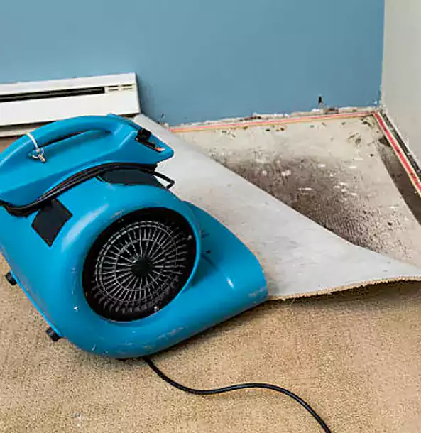 Why Cumming Trusts Cumming Restoration Pro for Carpet Flood Recovery?