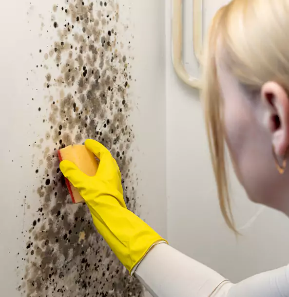 Why Cumming Restoration Pro Leads Mold Remediation in Cumming?