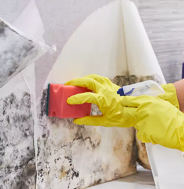 Why Cumming Trusts Cumming Restoration Pro for Mold and Water Restoration?