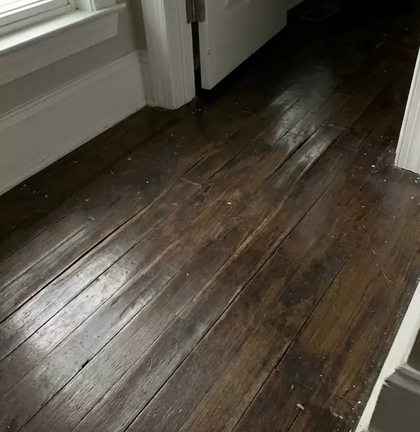 Why Cumming Homeowners Trust Cumming Restoration Pro to Fix Water Damaged Wood?