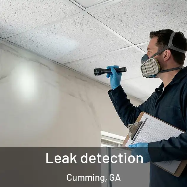  Leak detection Cumming, GA